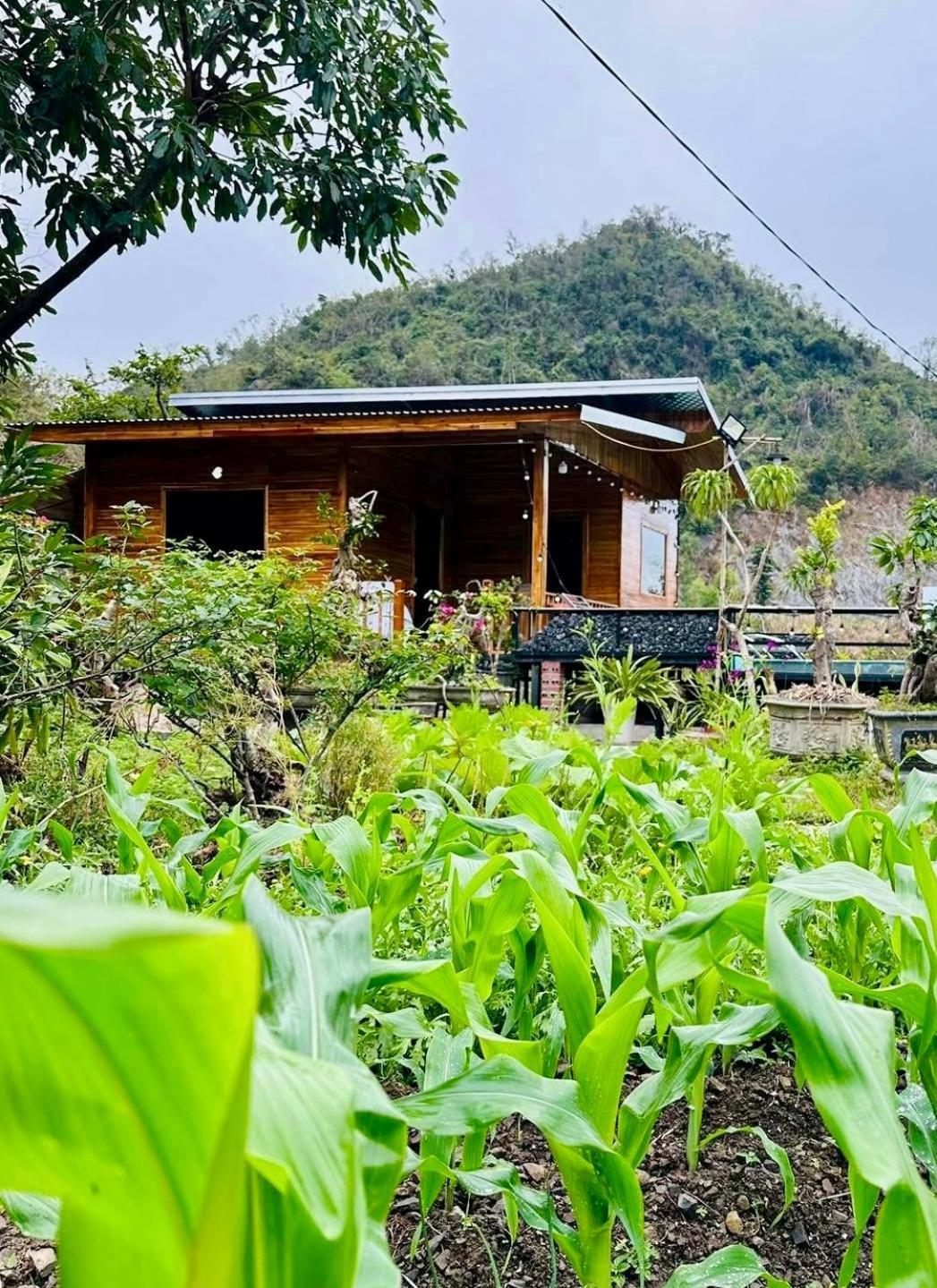 Cat Ba Love House Xuan Dam Exterior foto